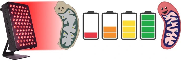 Θεραπεία με το Mitolight